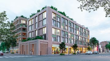 Littorelle - Lille