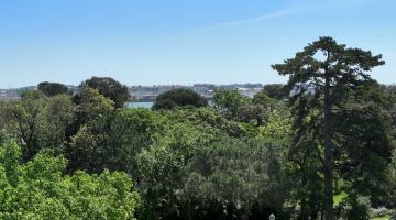 Programme Neuf ACACIA La Rochelle